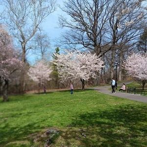 Meet your Posher, Violeta